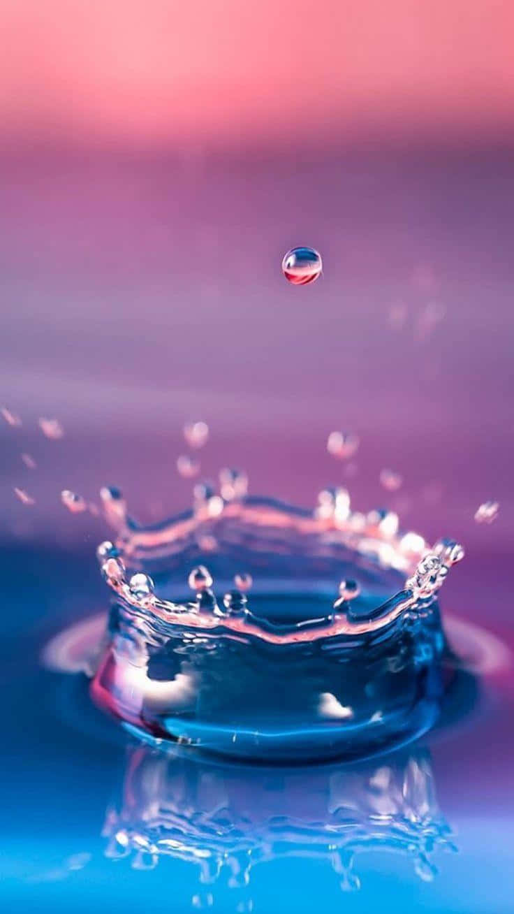 A large droplet of water glistening in the sunlight