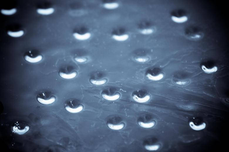 Water Droplets On Glass Wallpaper
