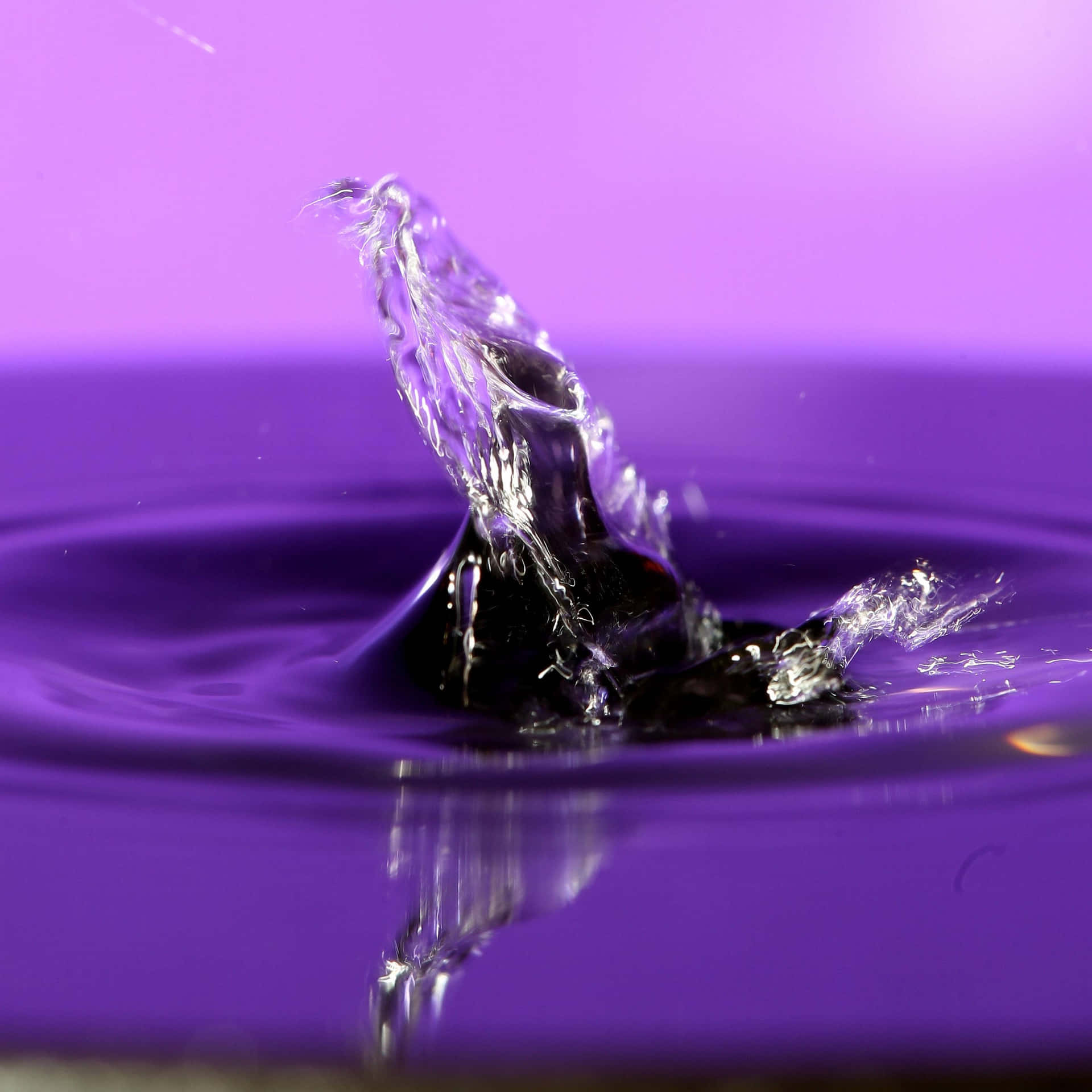 A Water Drop Is Falling Into A Purple Background Wallpaper