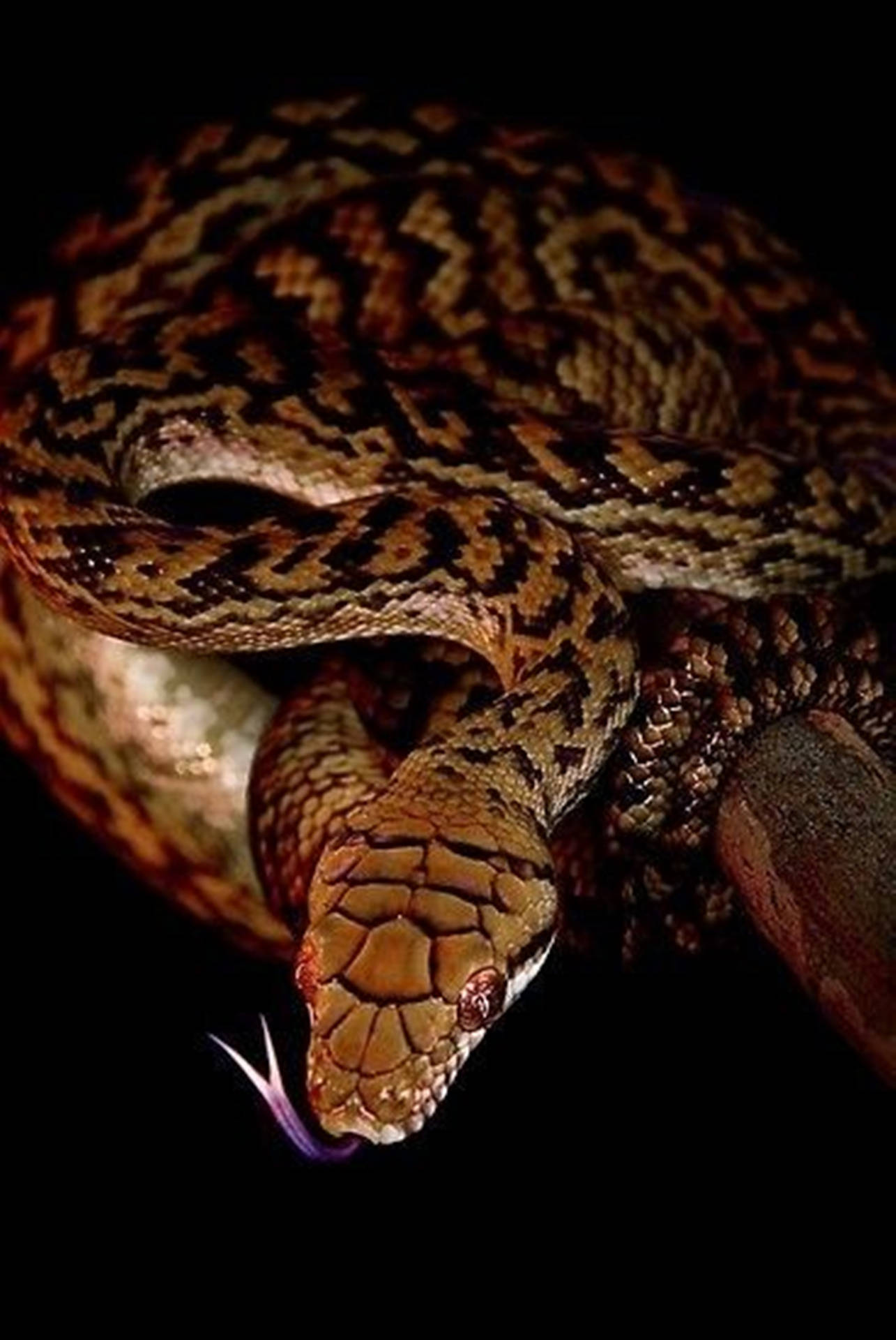Caption: Stunning Water Moccasin Exhibiting a Purple Tongue Wallpaper