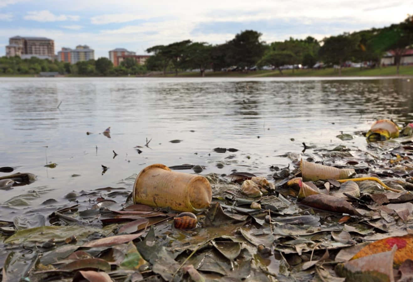 Unlago Con Spazzatura Galleggiante E Una Città Sullo Sfondo