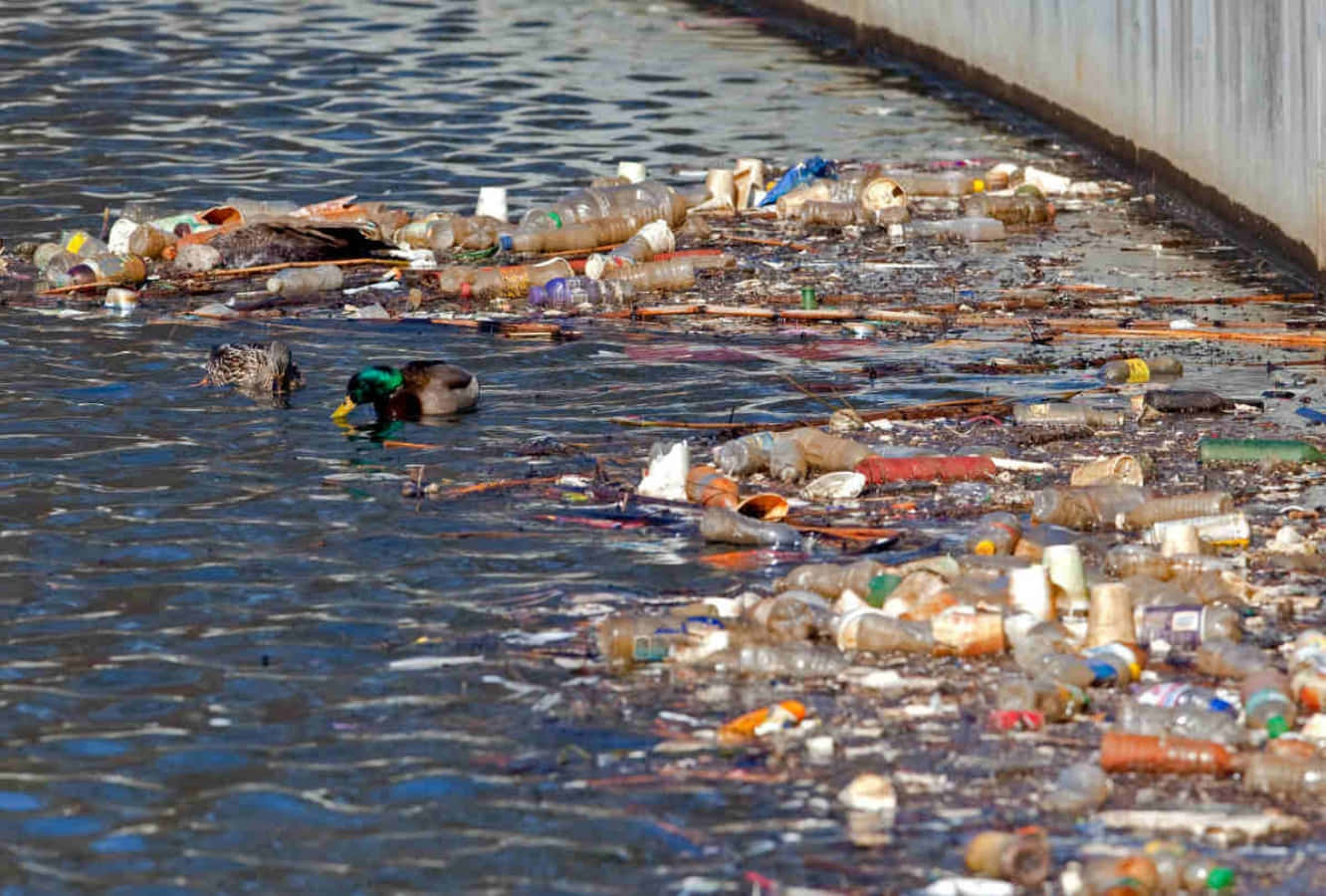 The devastating effects of water pollution