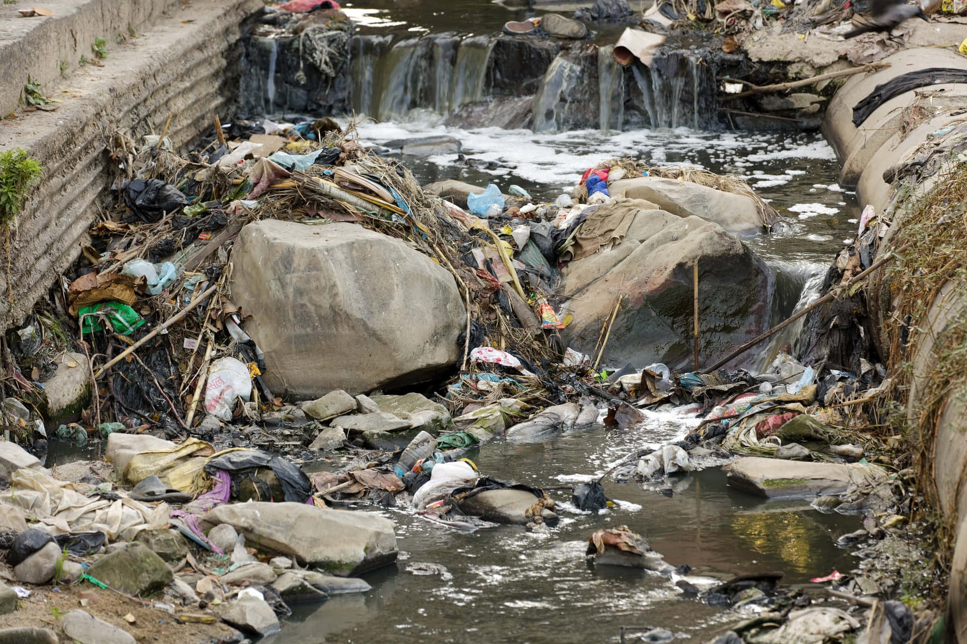 A River With Trash In It