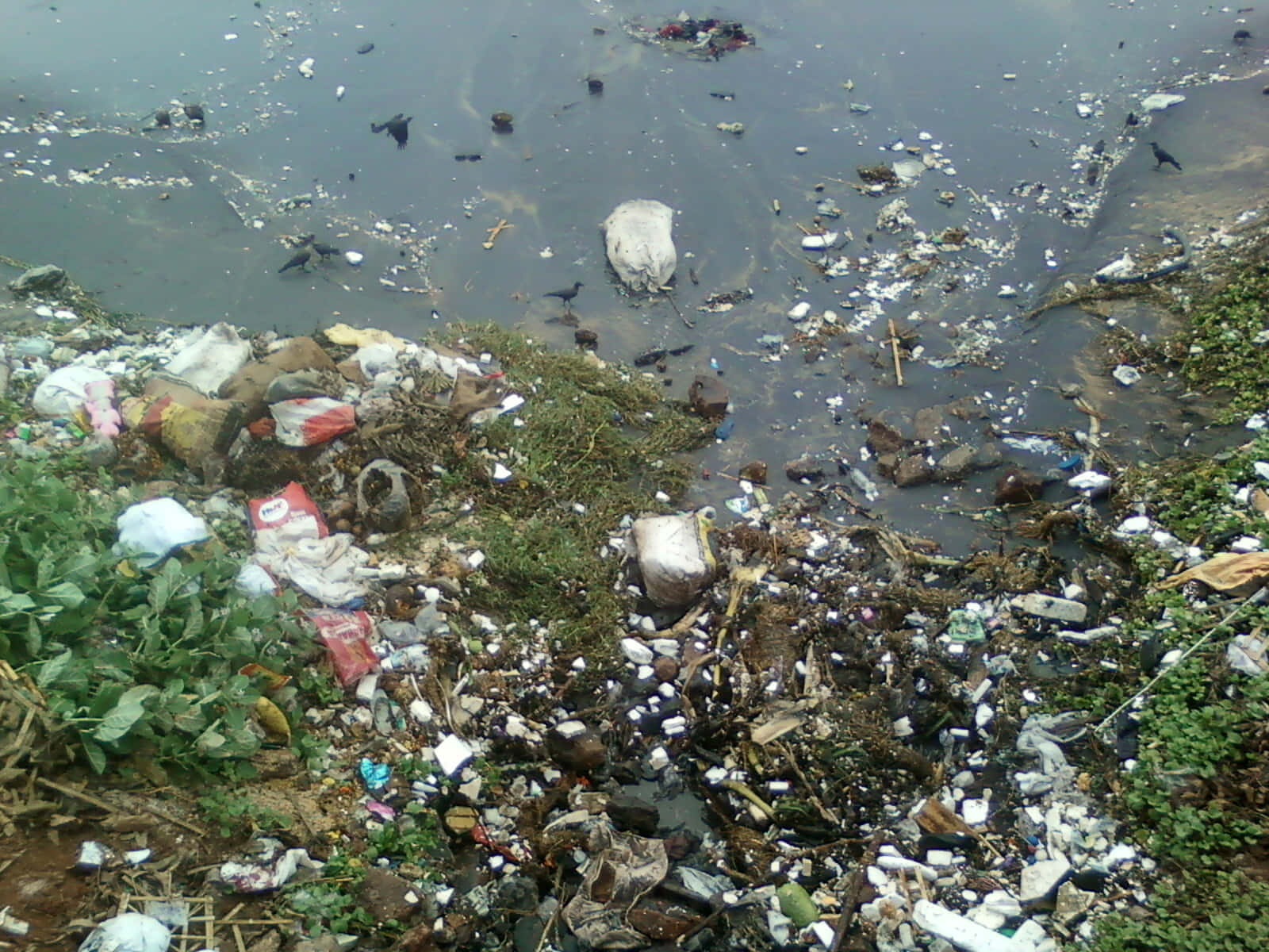 A River With Trash In It