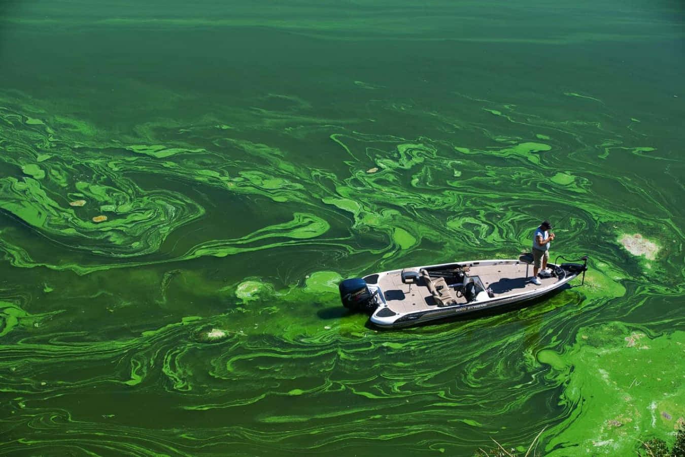 A Man Is On A Boat In A Lake With Green Algae