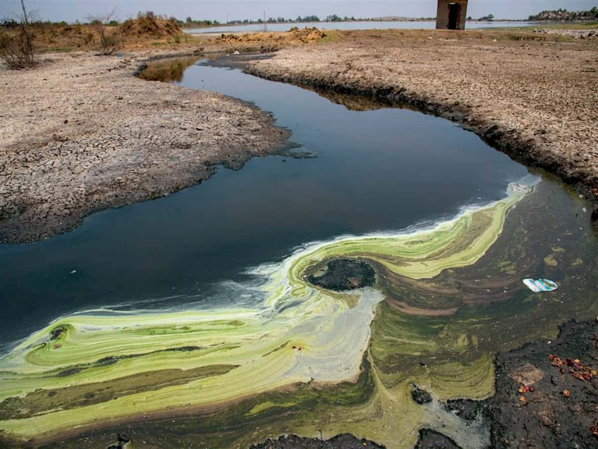 A Green Liquid Is Seen In A Waterway