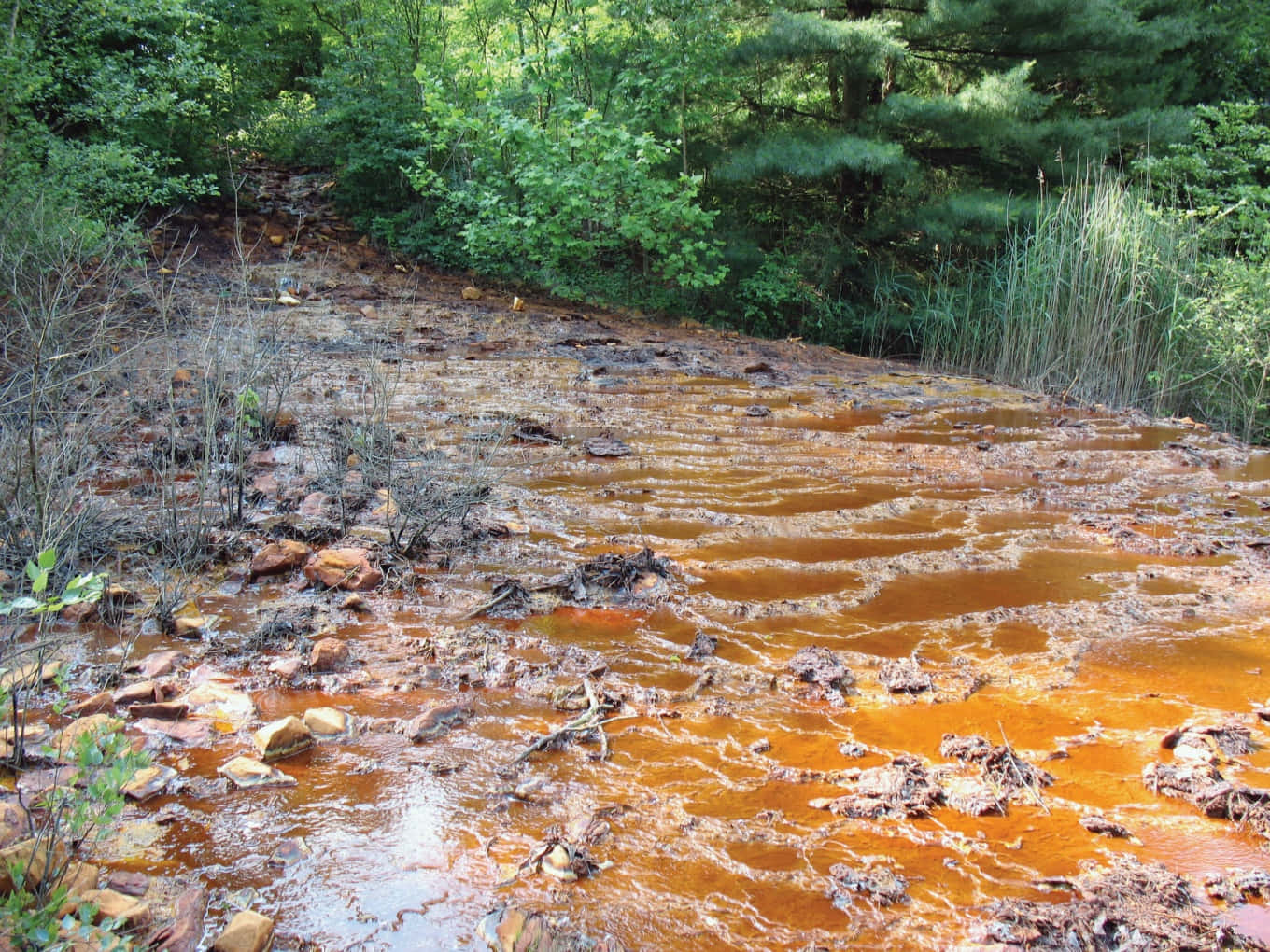 A Brown Muddy River