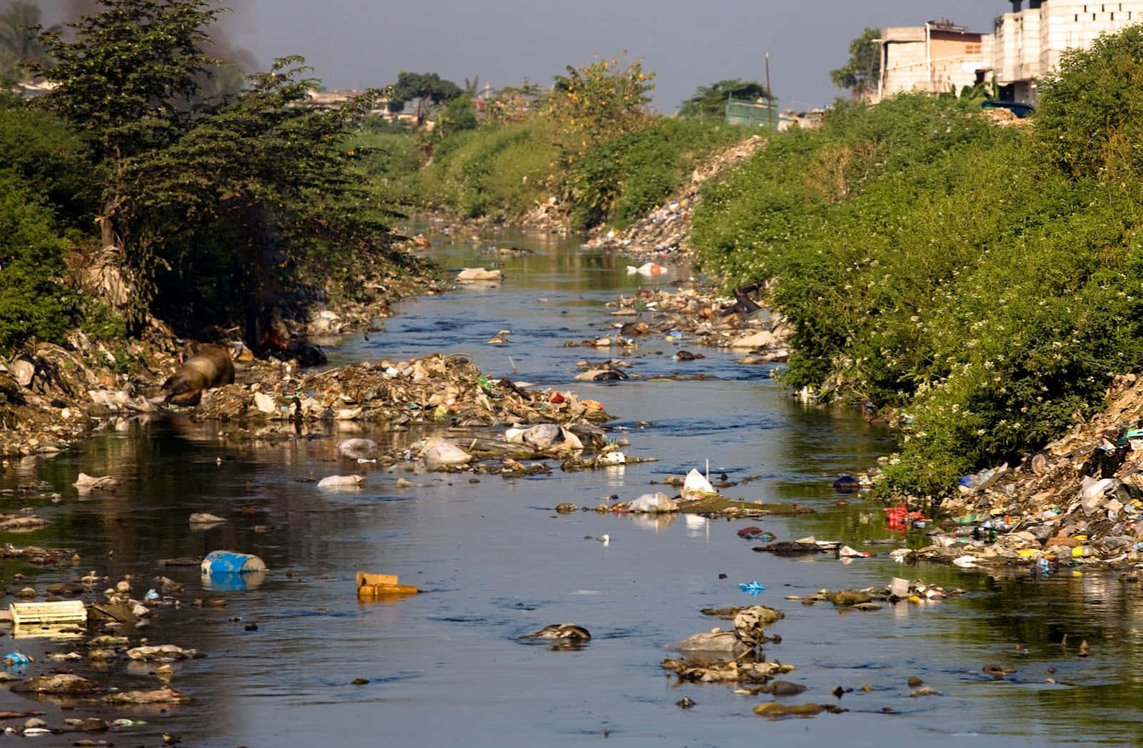 A River With Garbage And Trash In It