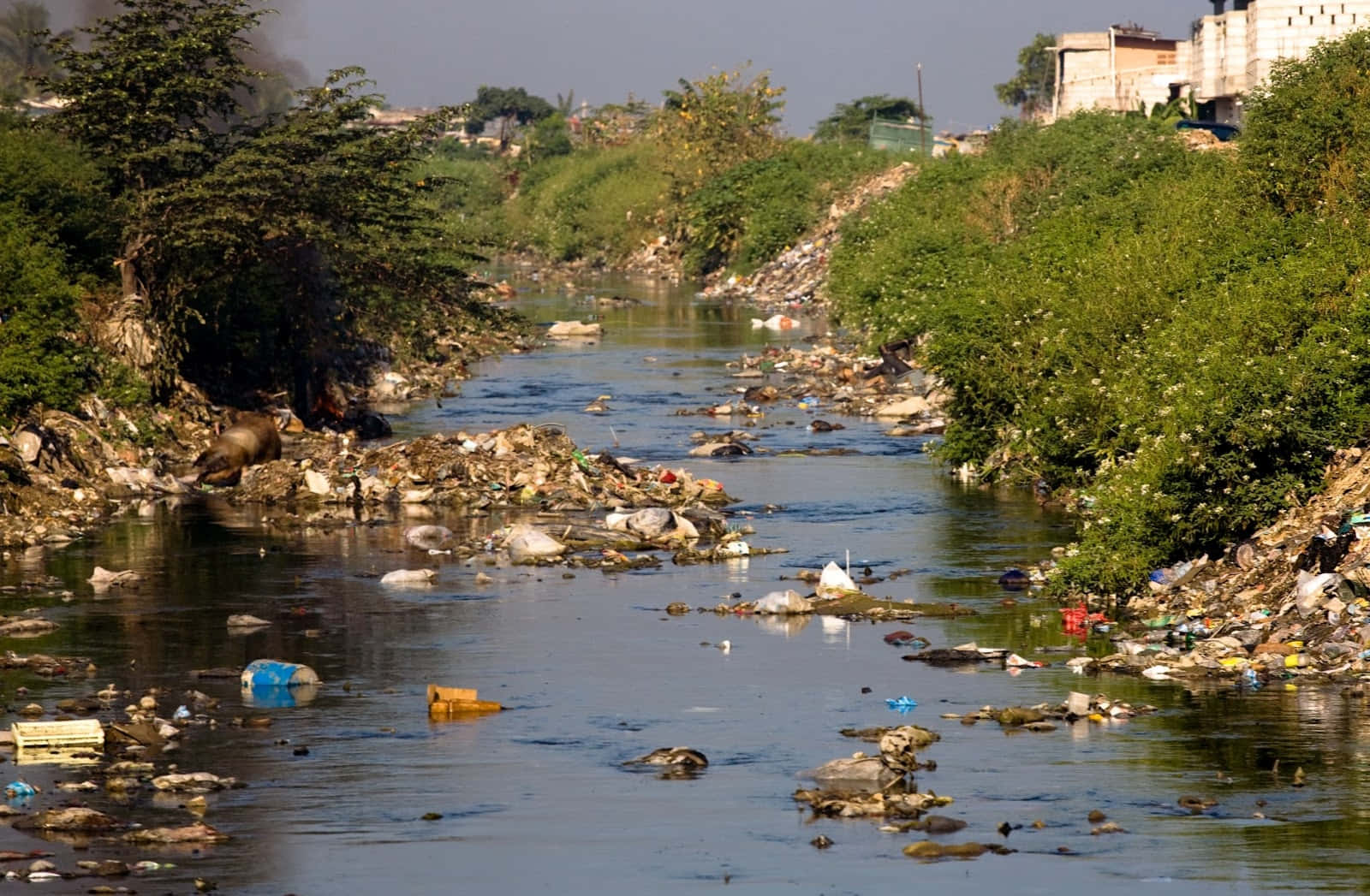 Unrío Con Basura Y Desechos En Él