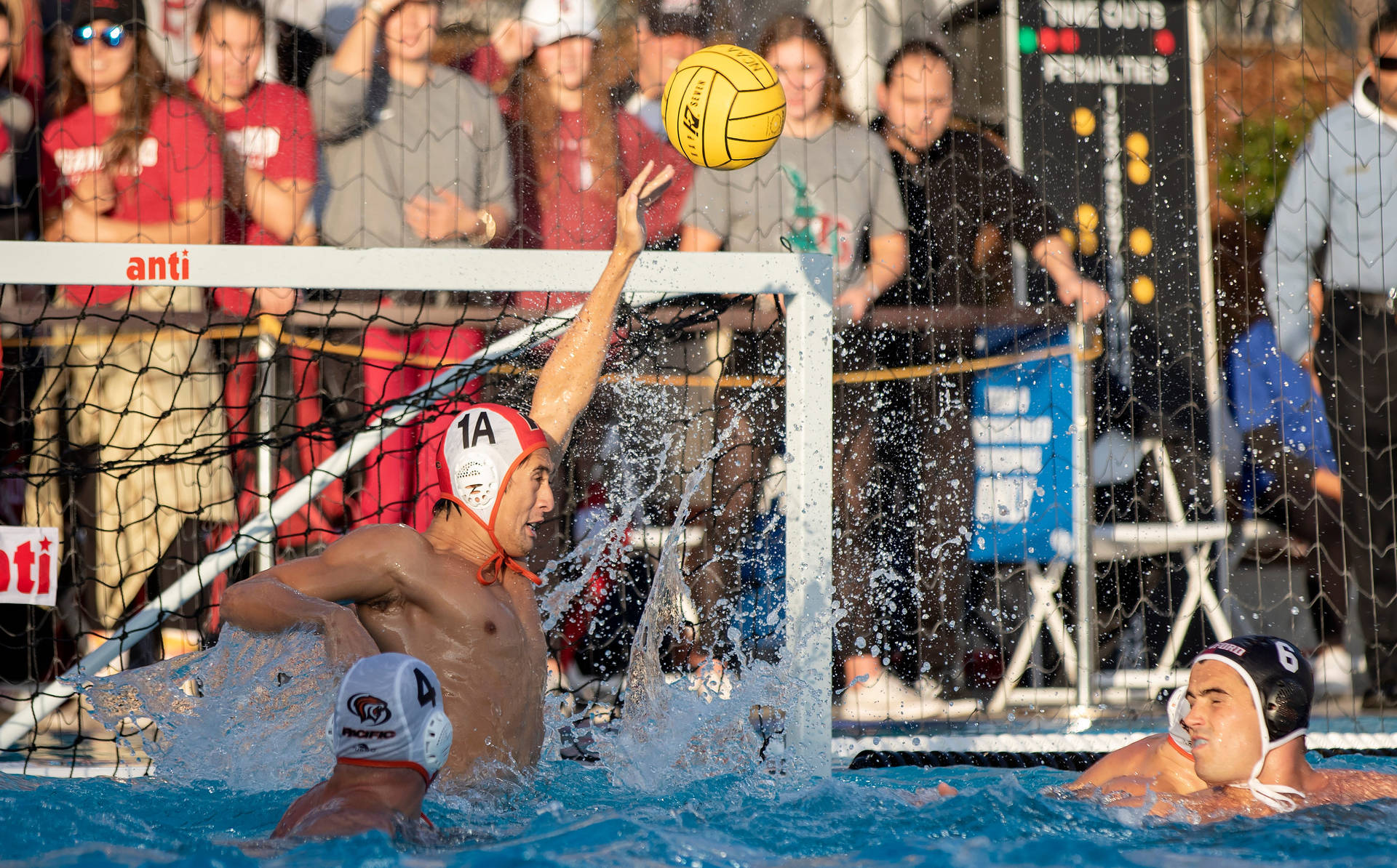 Water Polo Athlete In Front Of An Audience Wallpaper
