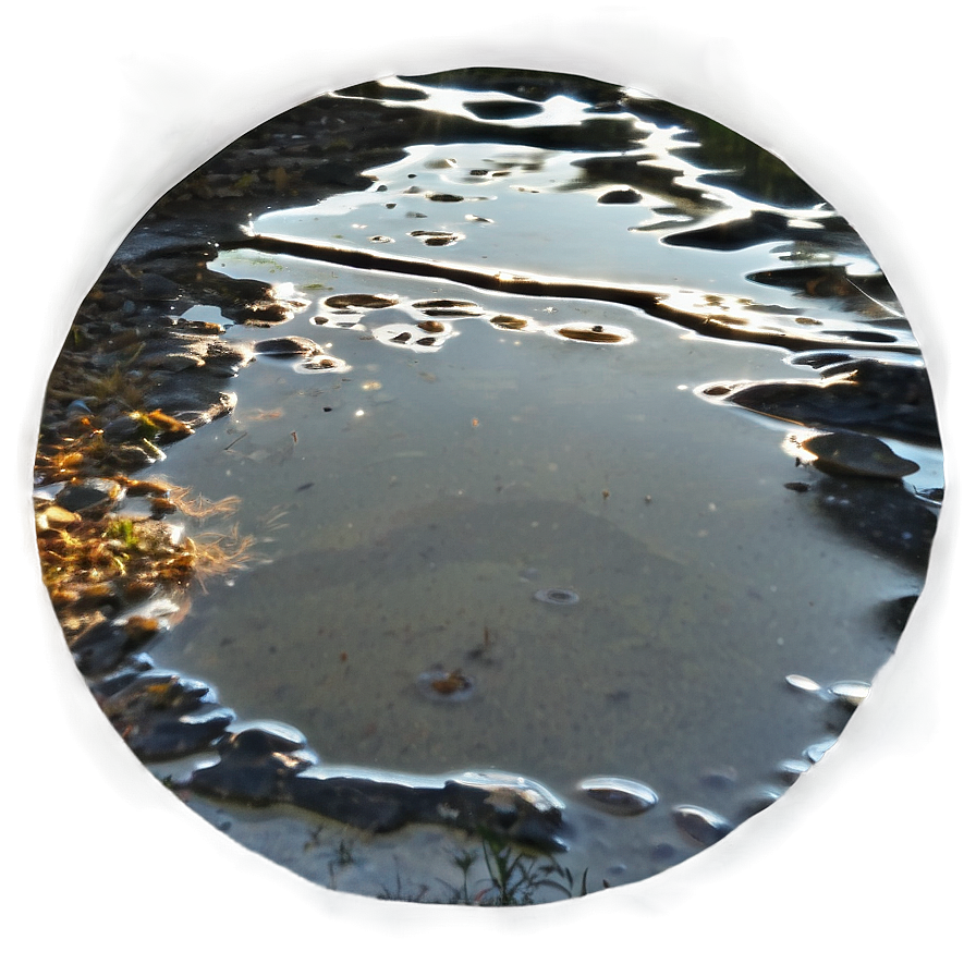 Water Puddle Reflection Png Iep78 PNG