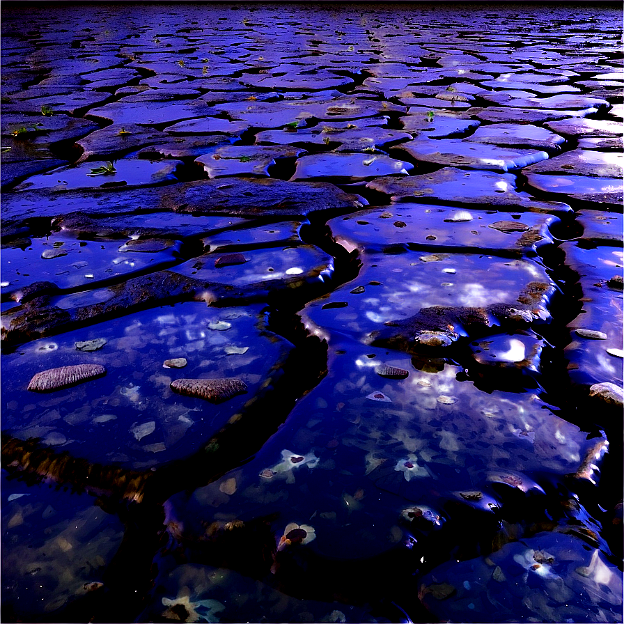 Water Puddle Texture Png Ltb PNG