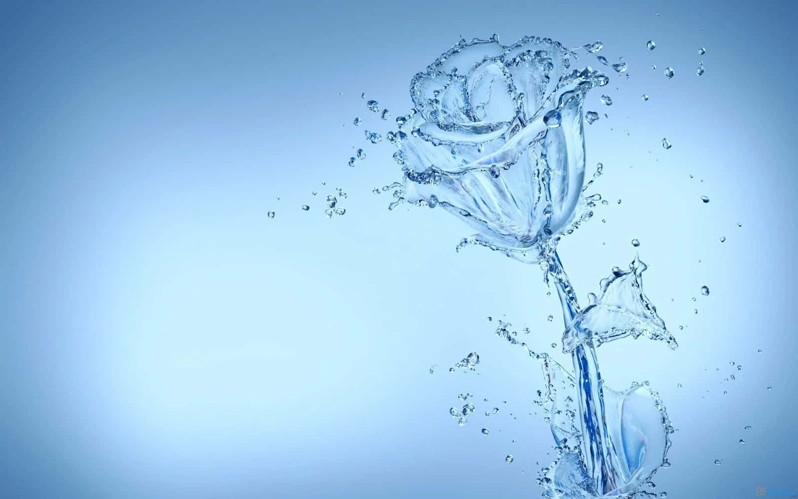 Water Rose Sculpture Wallpaper