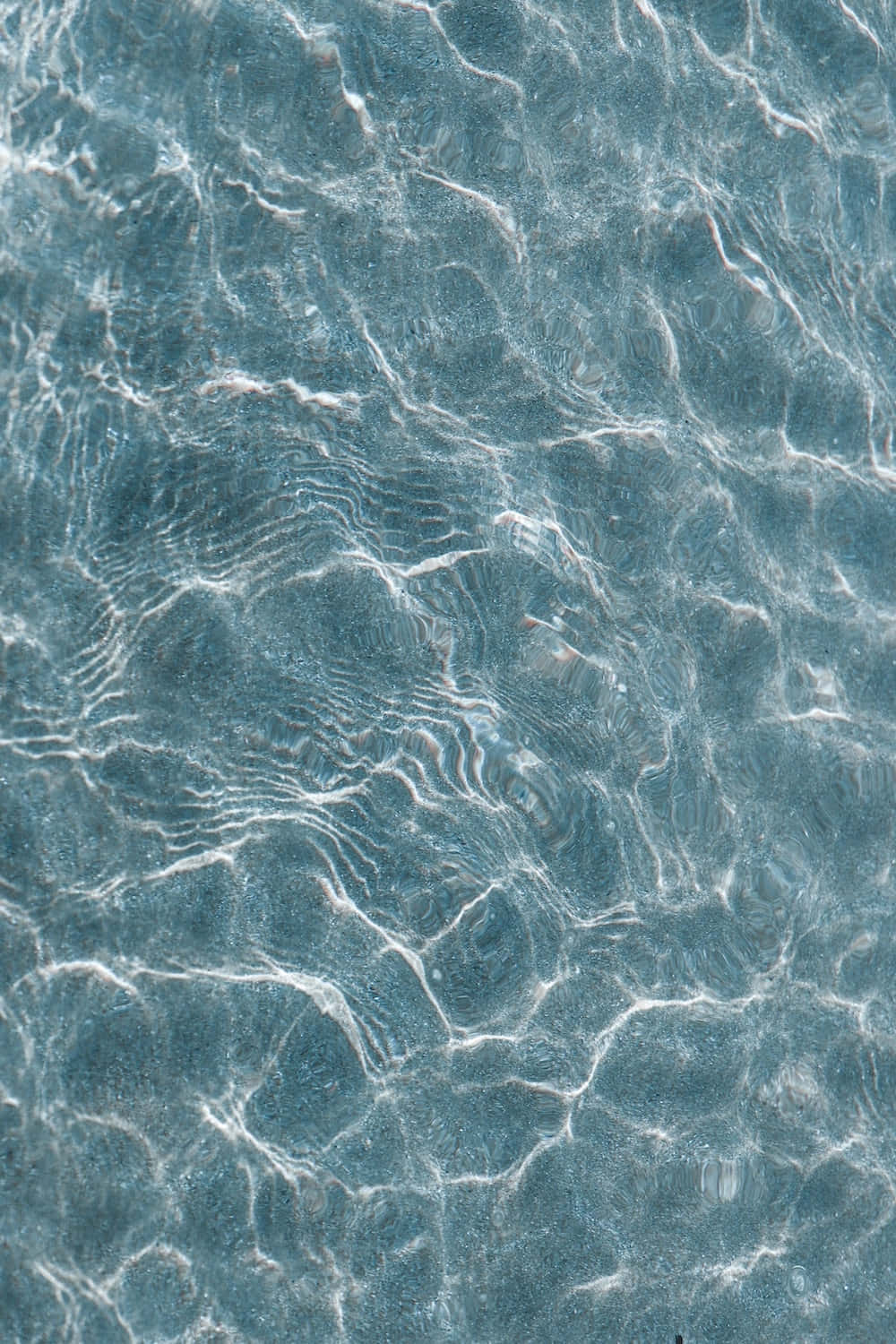 "A close-up of a peaceful, still body of water revealing its intricate texture"