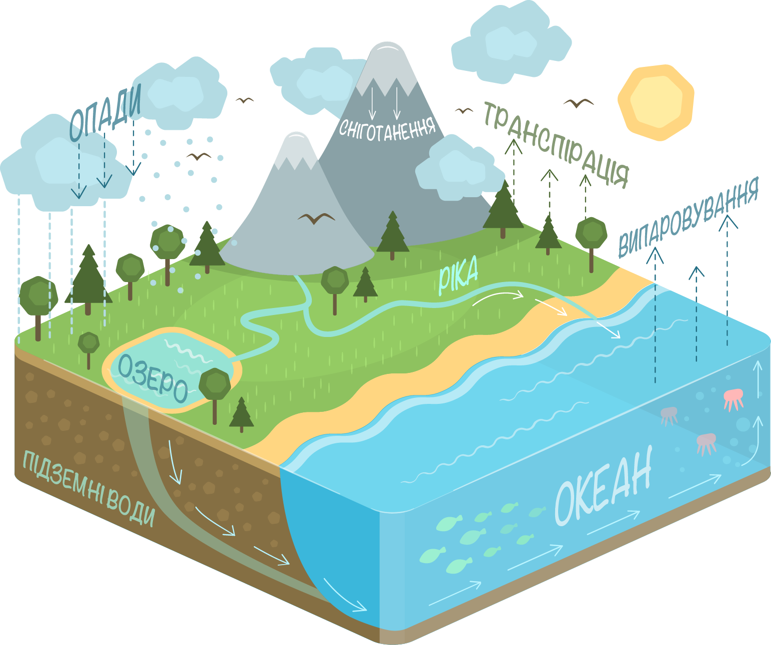 Water_ Cycle_ Illustration PNG