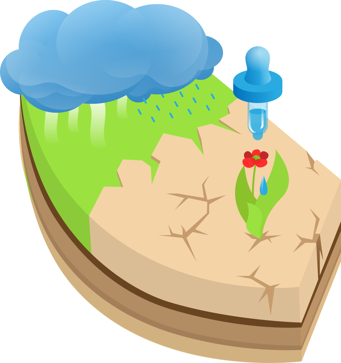 Water_ Cycle_and_ Plant_ Growth_ Illustration PNG