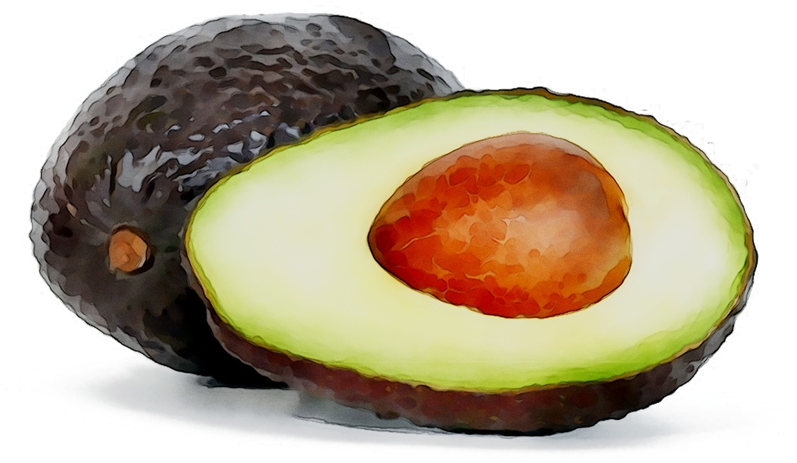 Watercolor Avocado Halfand Whole PNG