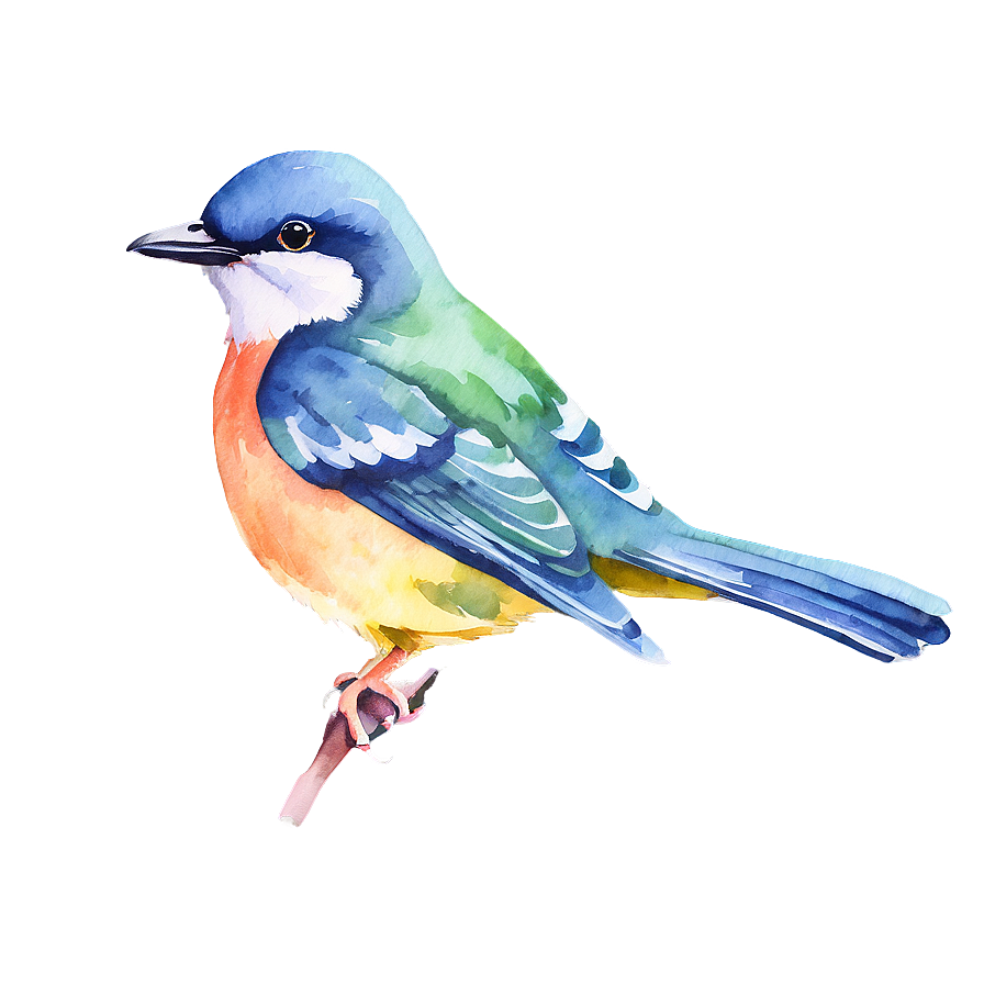 Watercolor Bird Illustration Png 05032024 PNG
