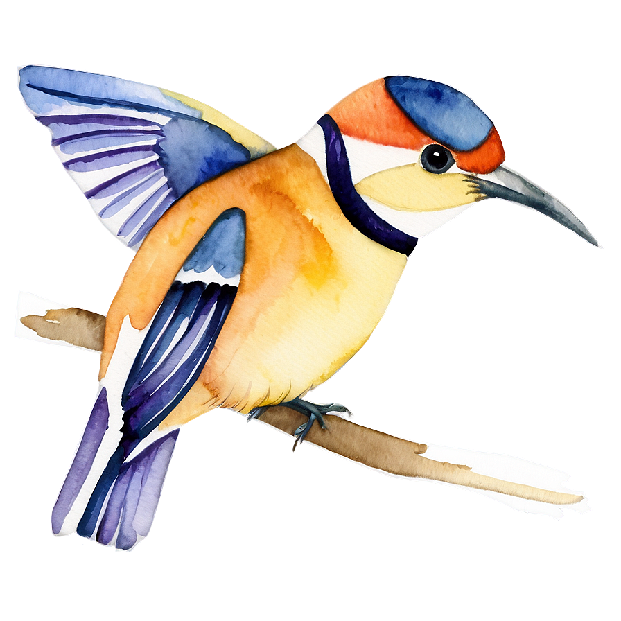 Watercolor Bird Illustration Png Mih47 PNG