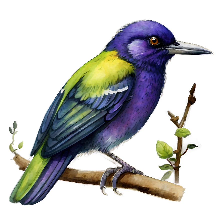 Watercolor Bird Illustration Png Wxv PNG