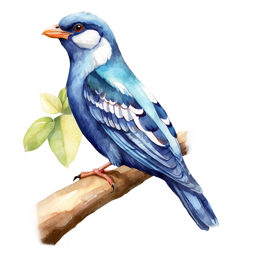 Watercolor Bird Species Png Vqm PNG