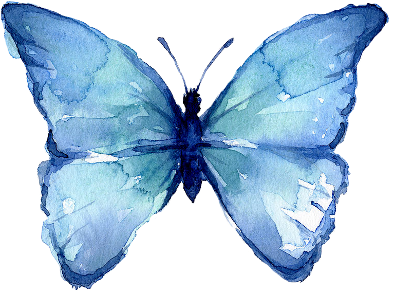 Watercolor Blue Butterfly Artwork PNG