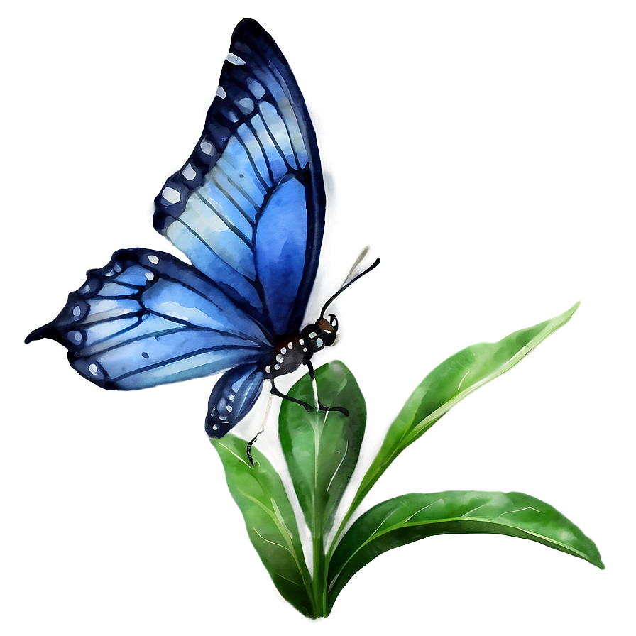 Watercolor Blue Butterfly Png 05212024 PNG