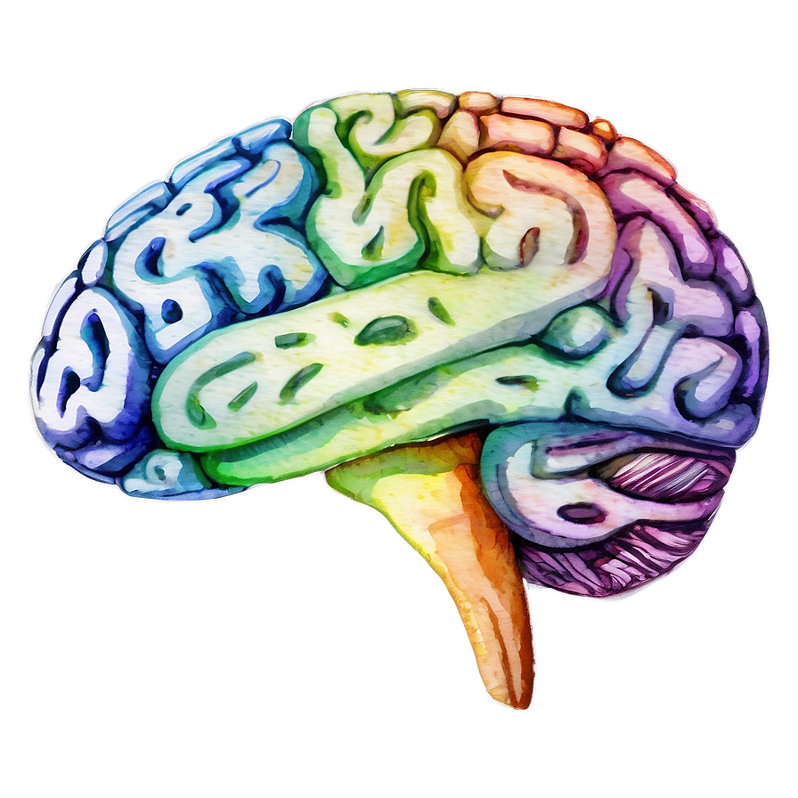 Watercolor Brain Art Png Gfr PNG