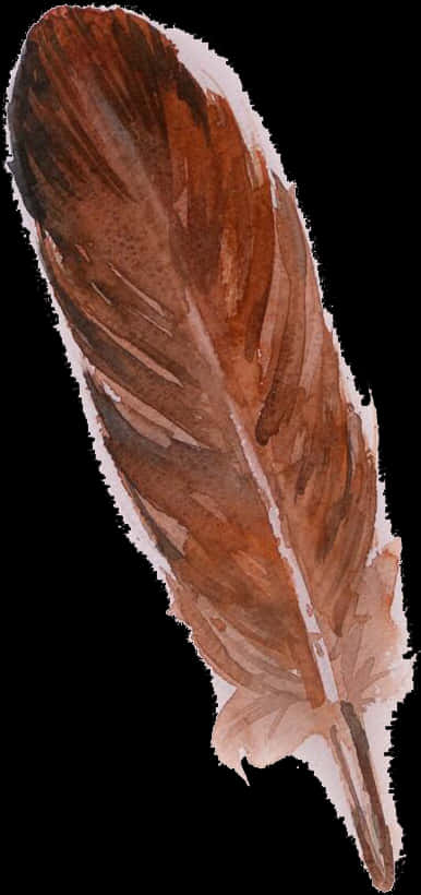 Watercolor Brown Feather Artwork PNG