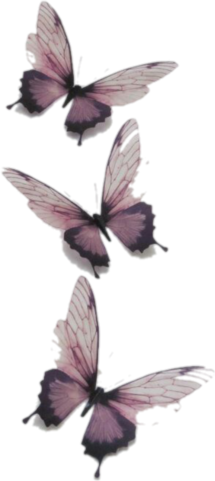 Watercolor Butterflies Artwork PNG