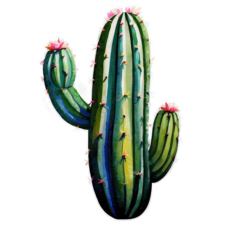 Watercolor Cactus Png 3 PNG