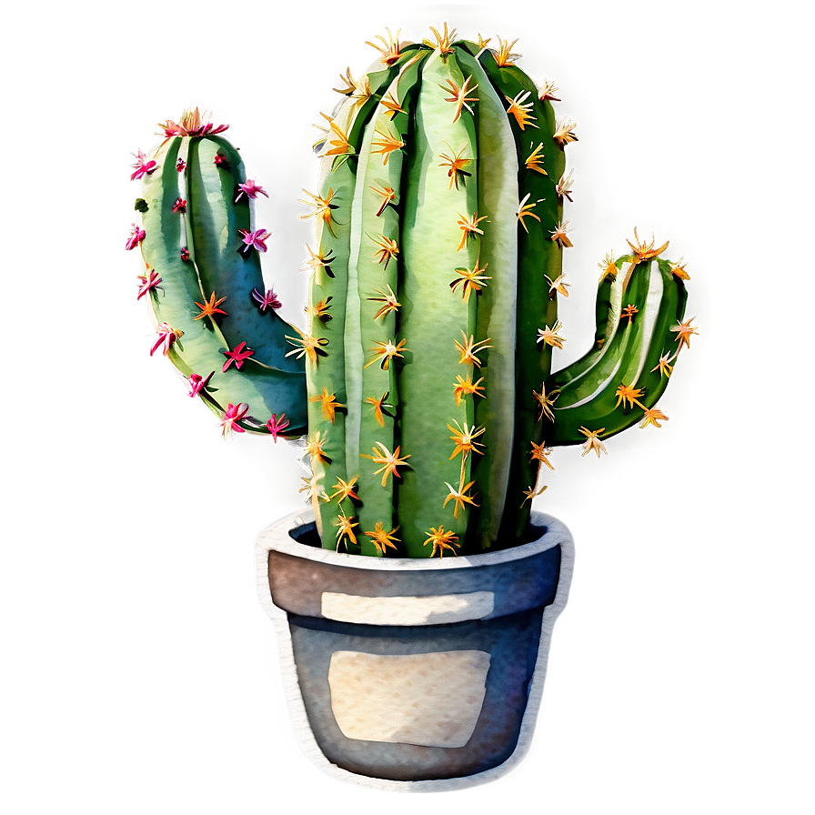 Watercolor Cactus Png Fdk2 PNG