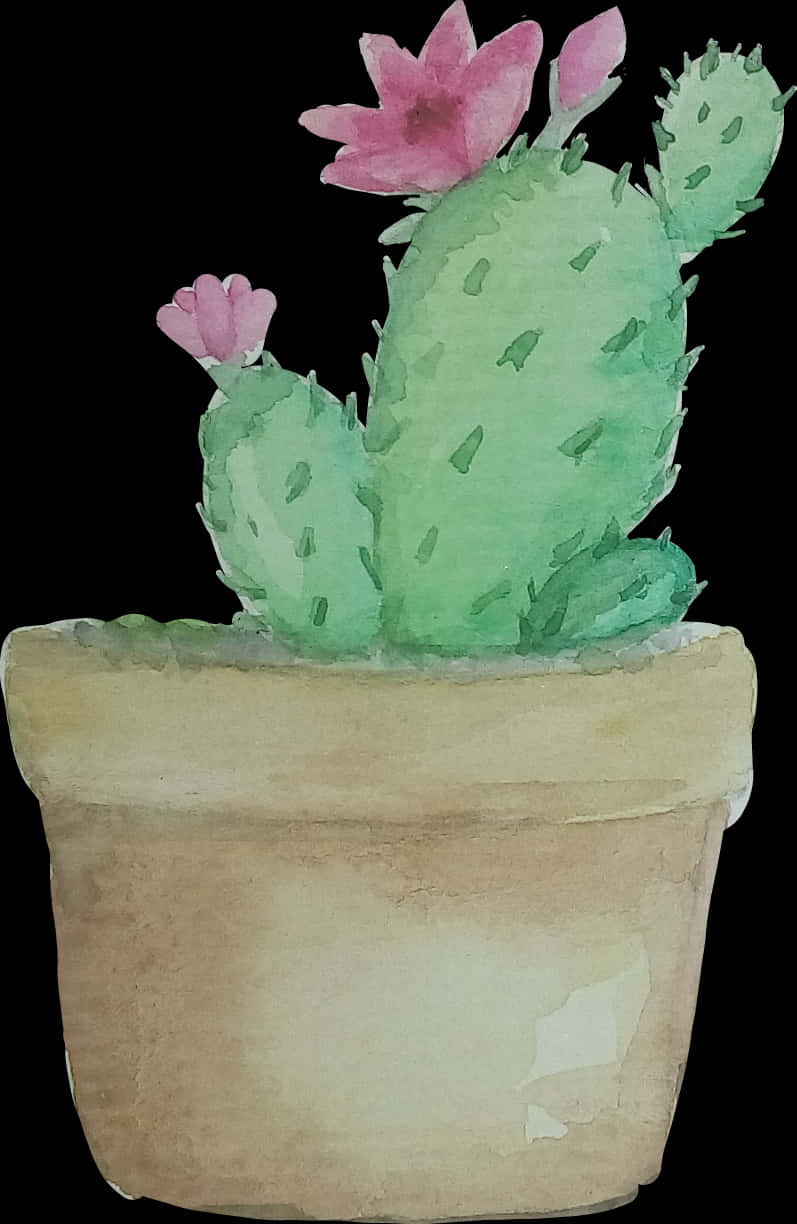 Watercolor Cactuswith Pink Flowers PNG
