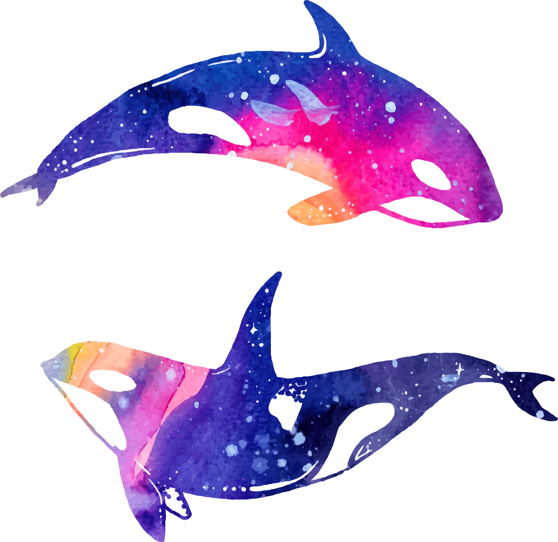 Watercolor Dolphins Artwork PNG