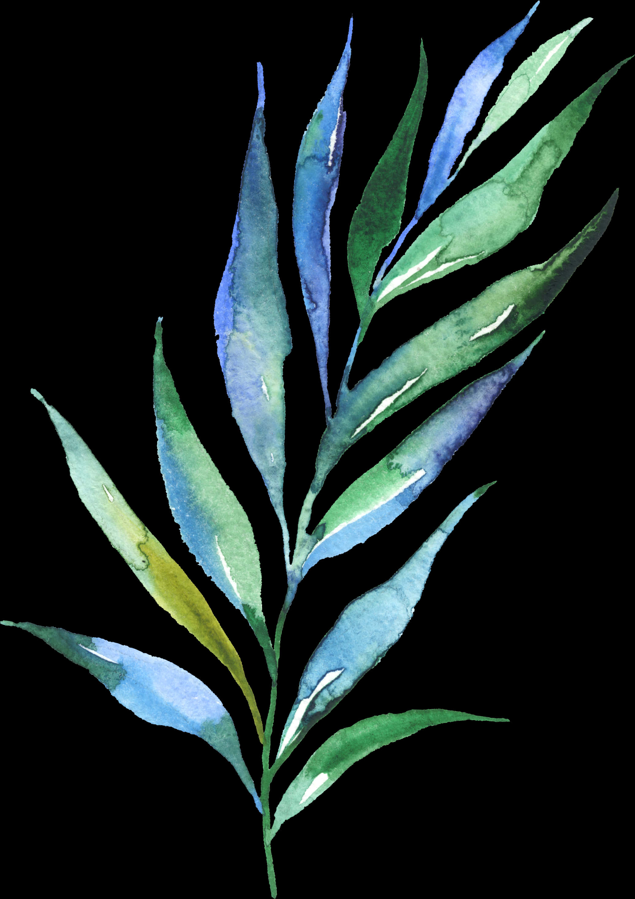 Watercolor Eucalyptus Branch PNG