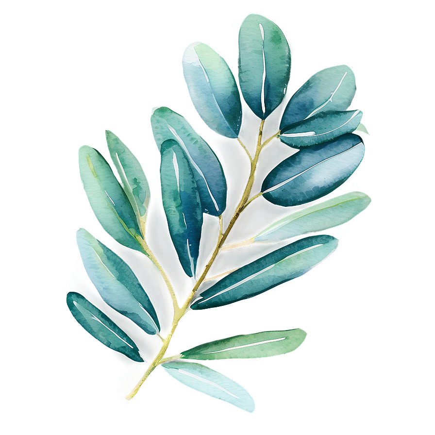 Watercolor Eucalyptus Leaves Png 05242024 PNG