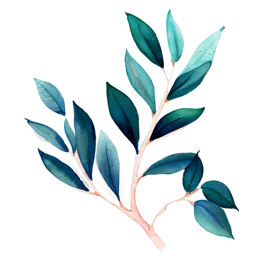 Watercolor Eucalyptus Leaves Png 33 PNG