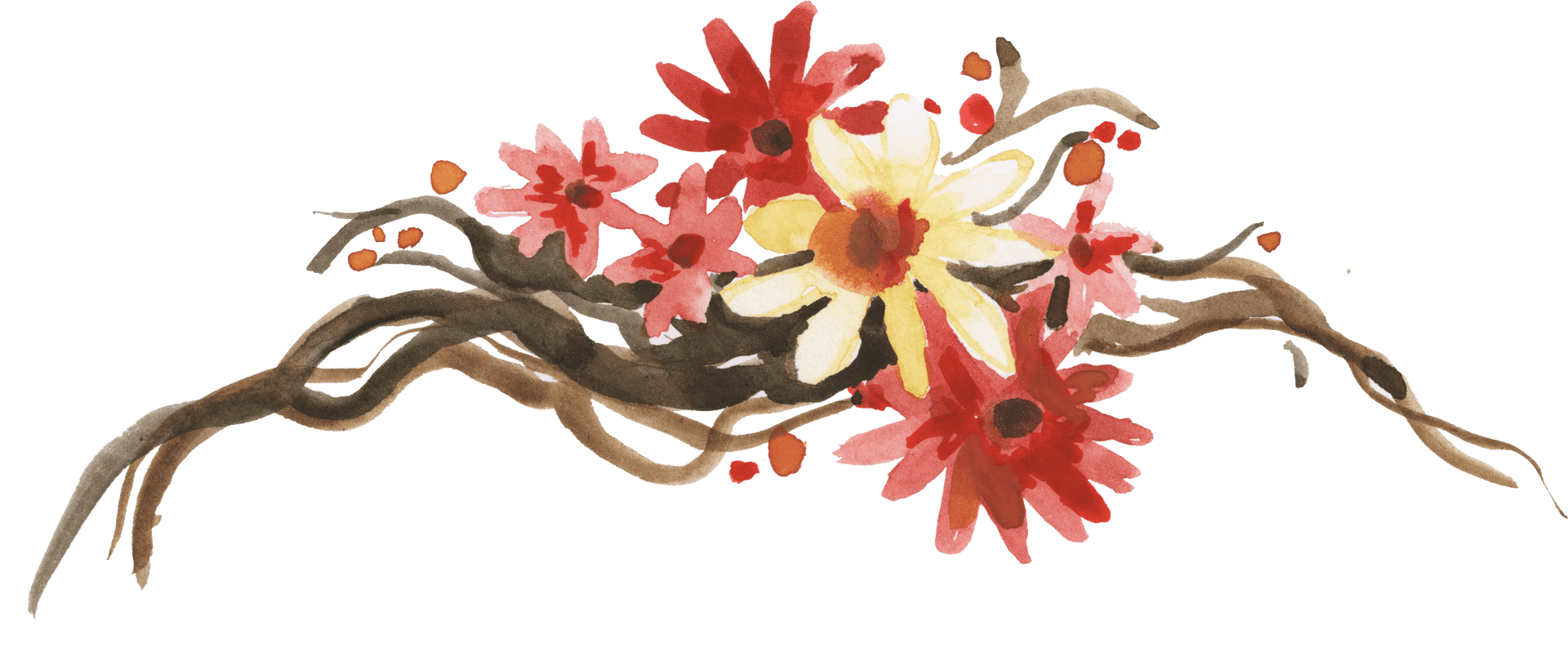 Watercolor Floral Branch Artwork PNG