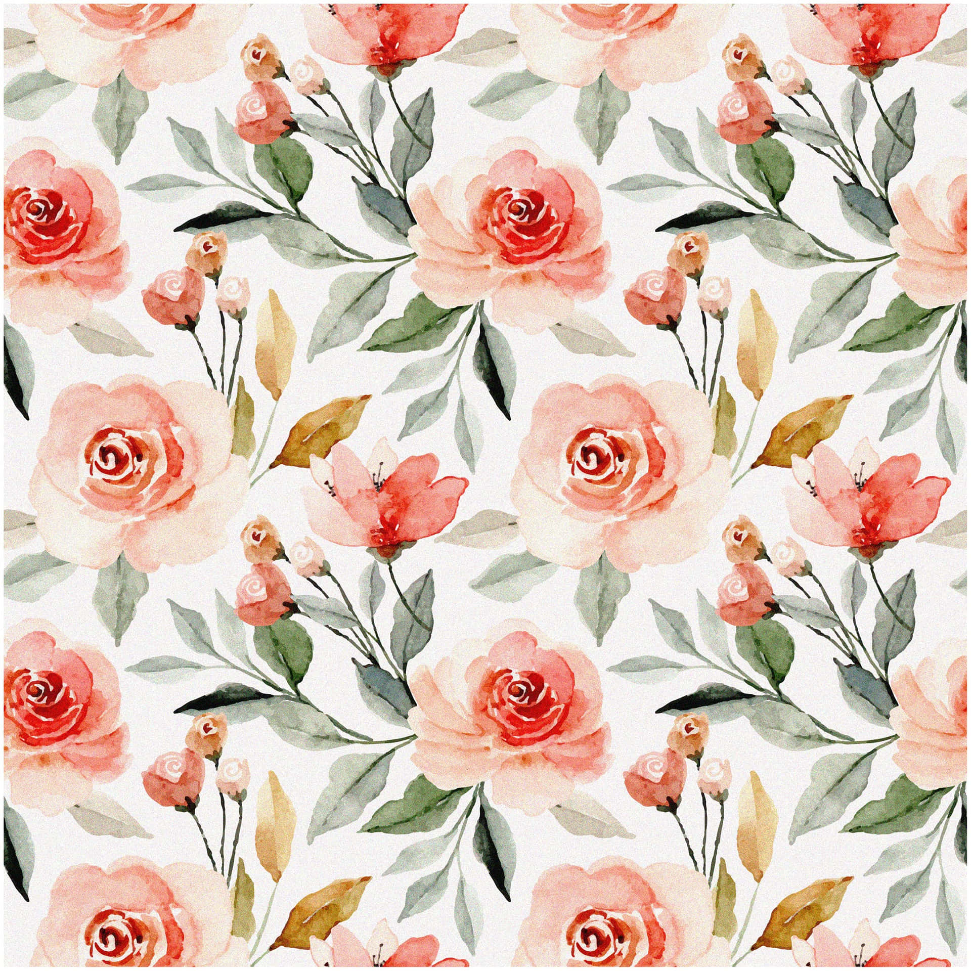 Watercolor Floral Patterns With Pink Rose Wallpaper