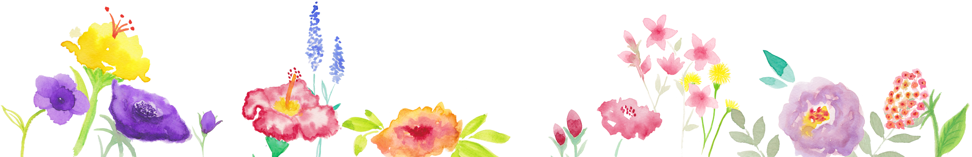 Watercolor Floral Header PNG