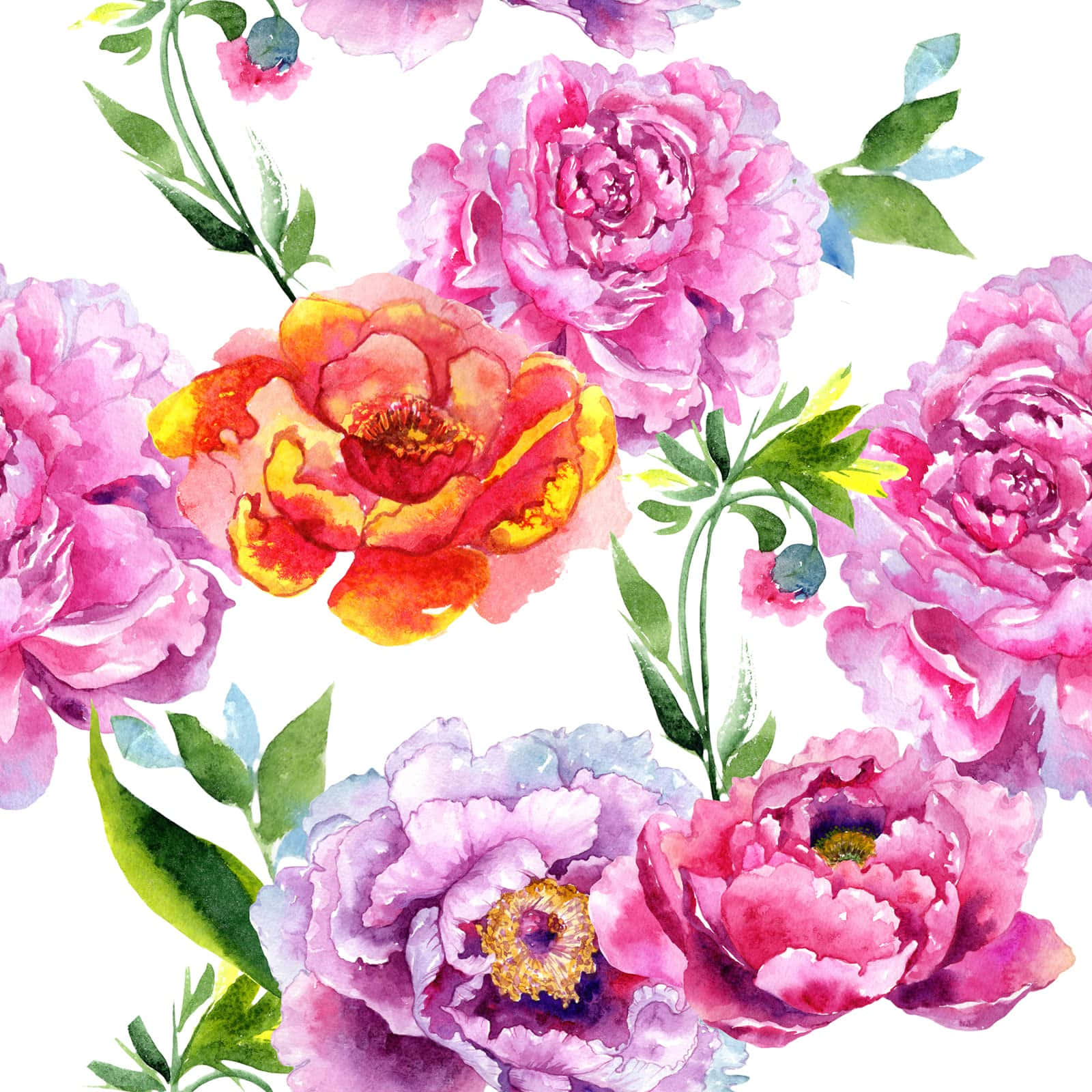 Watercolor Floral Patterns With Carnation Wallpaper