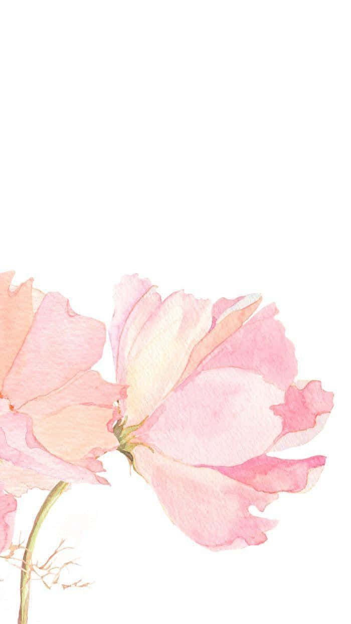 Watercolor Flower Pictures