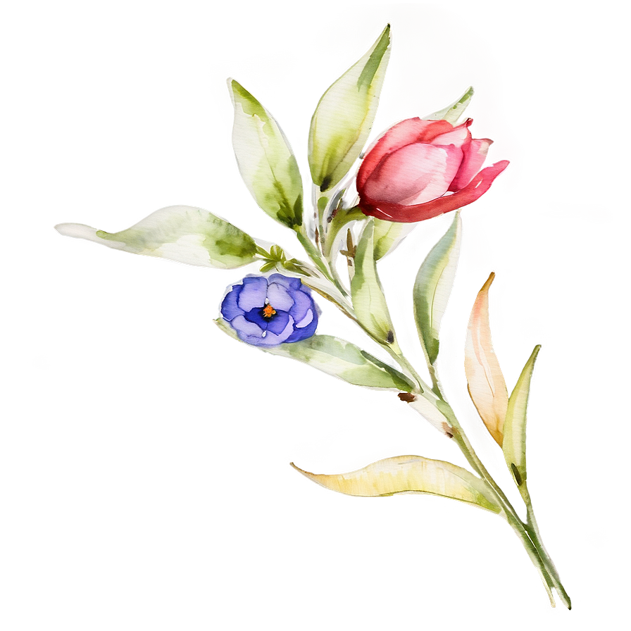 Watercolor Flower Stem Png 06132024 PNG