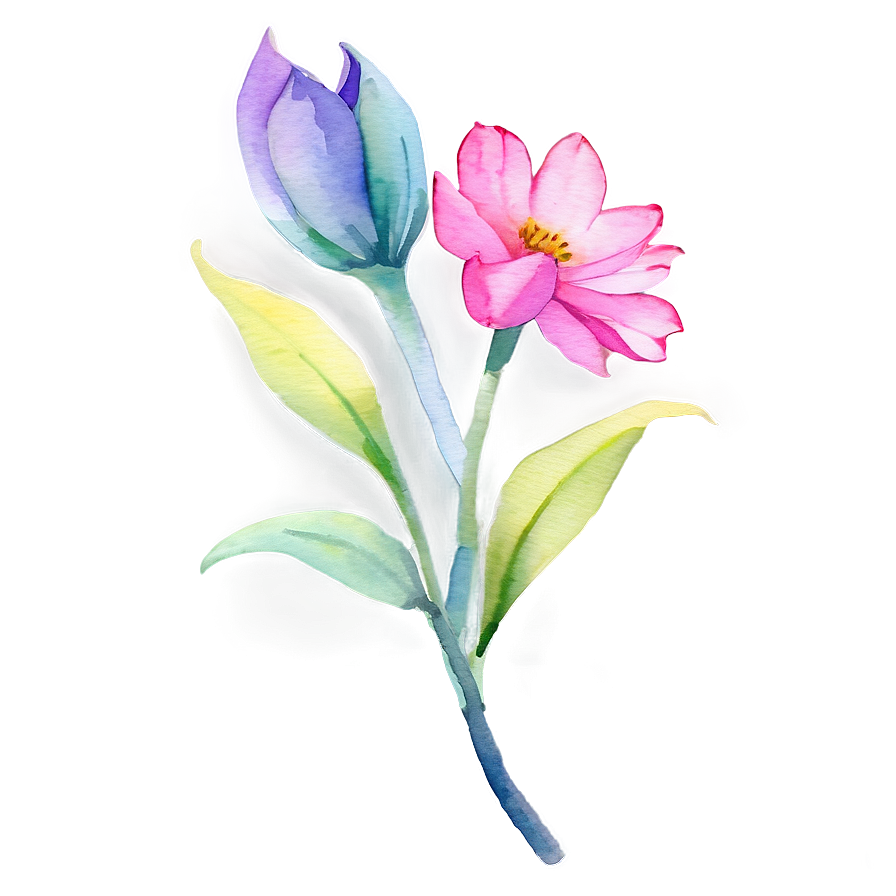 Watercolor Flower Transparent Png 05252024 PNG