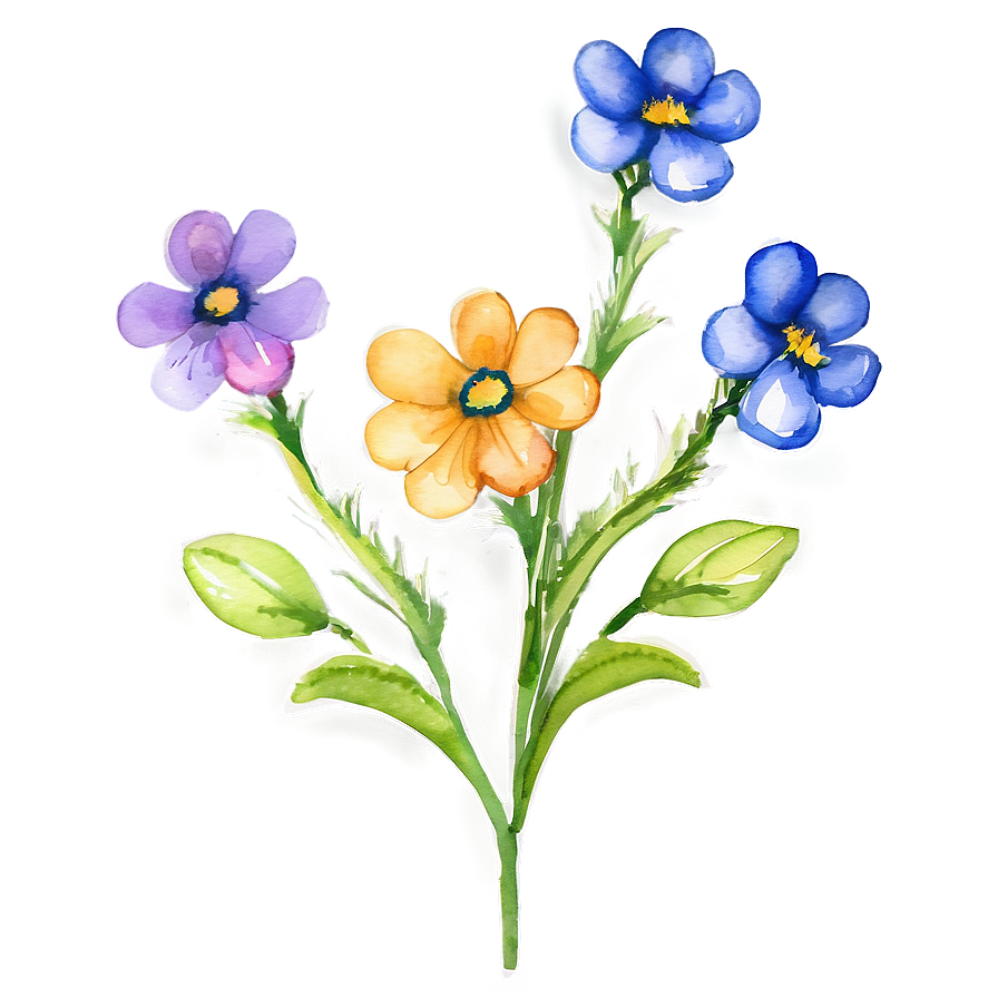 Watercolor Flower Transparent Png 05252024 PNG