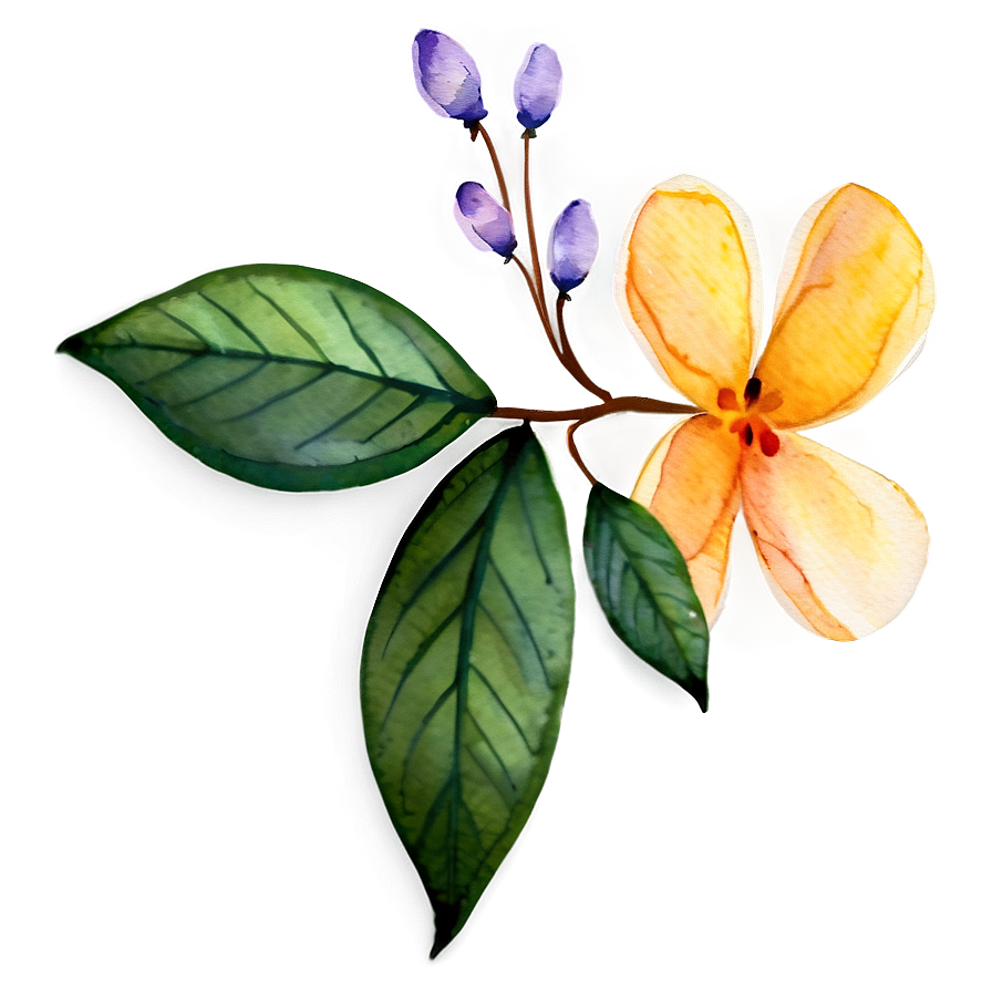 Watercolor Flower Transparent Png Evr PNG