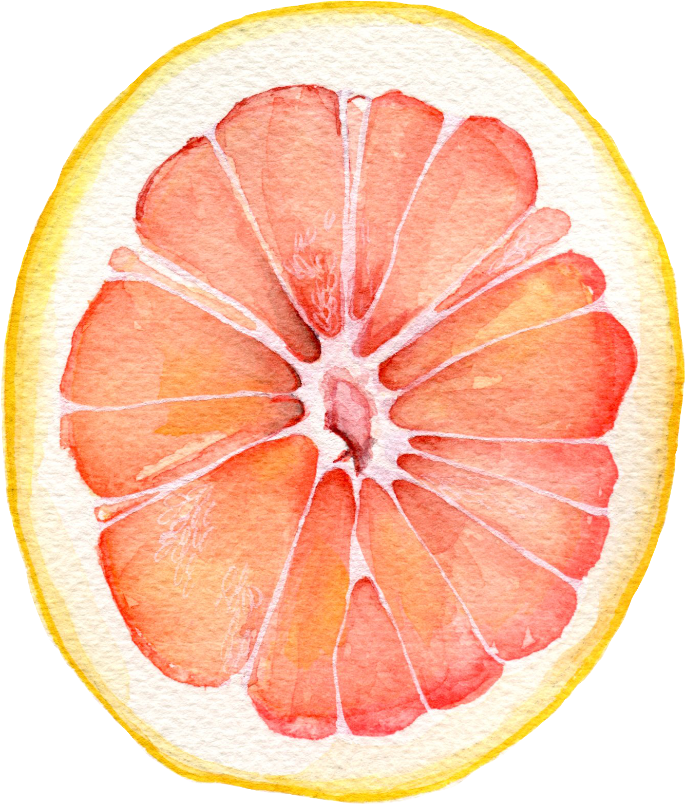 Watercolor Grapefruit Slice PNG