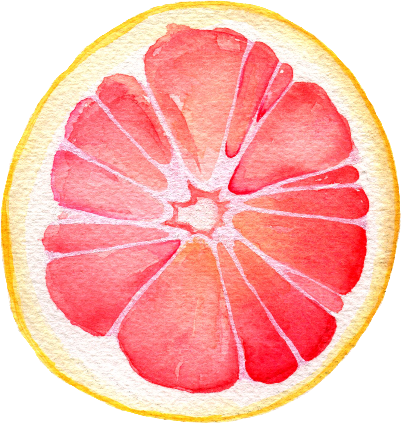 Watercolor Grapefruit Slice PNG