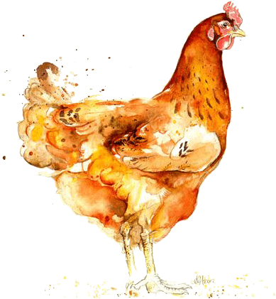 Watercolor Hen Artwork PNG