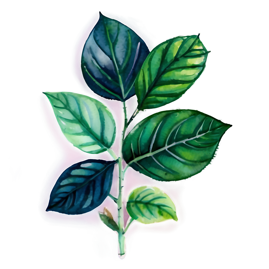 Watercolor Herbal Leaves Png 6 PNG
